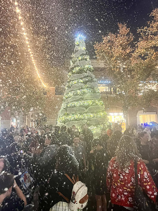 GameTruck Snow Parties